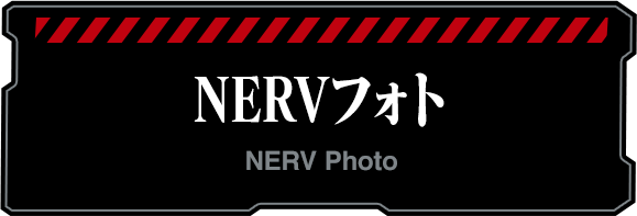 NERVフォト